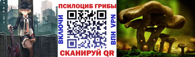 Псилоцибиновые грибы GOLDEN TEACHER Костомукша
