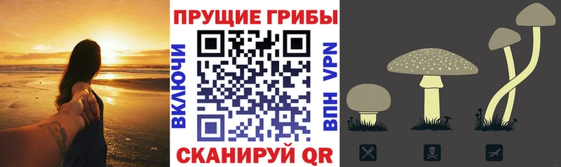 Галлюциногенные грибы Magic Shrooms  MEGA ONION  Костомукша 